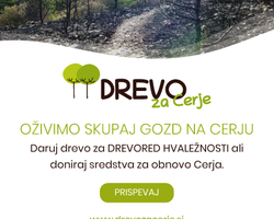 Slovenija daruje drevesa za Cerje