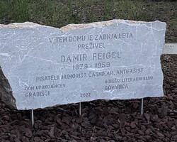 Postavitev plošče Damirju Feiglu 