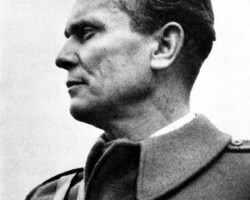 Zamrznitev posthumnega odvzema odlikovanja Josipu Brozu Titu