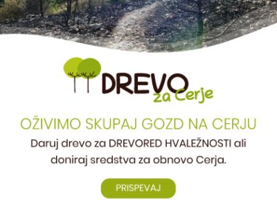 Slovenija daruje drevesa za Cerje