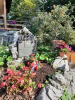 Osvežitev spomina na ustanovitev TIGR-a na Nanosu